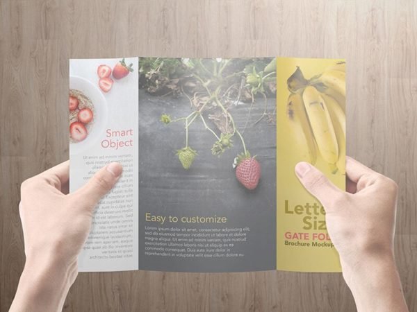 8.5×11 Gatefold Brochure Mockups