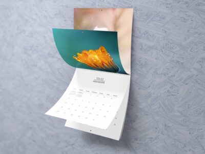 12'x12'-Wall-Calendar-Mockups-03