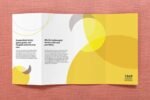16x9 Double Parallel Fold Brochure Mockups