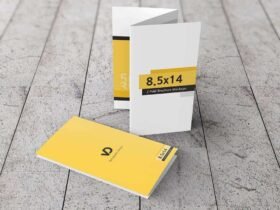8.5 x 14 Z-Fold Brochure Mockups