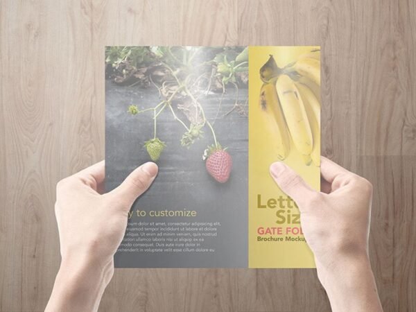 8.5x11 Gatefold Brochure Mockups