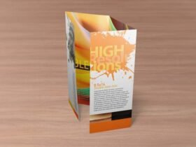 8.5×14 Double Gate Fold Brochure Mockups