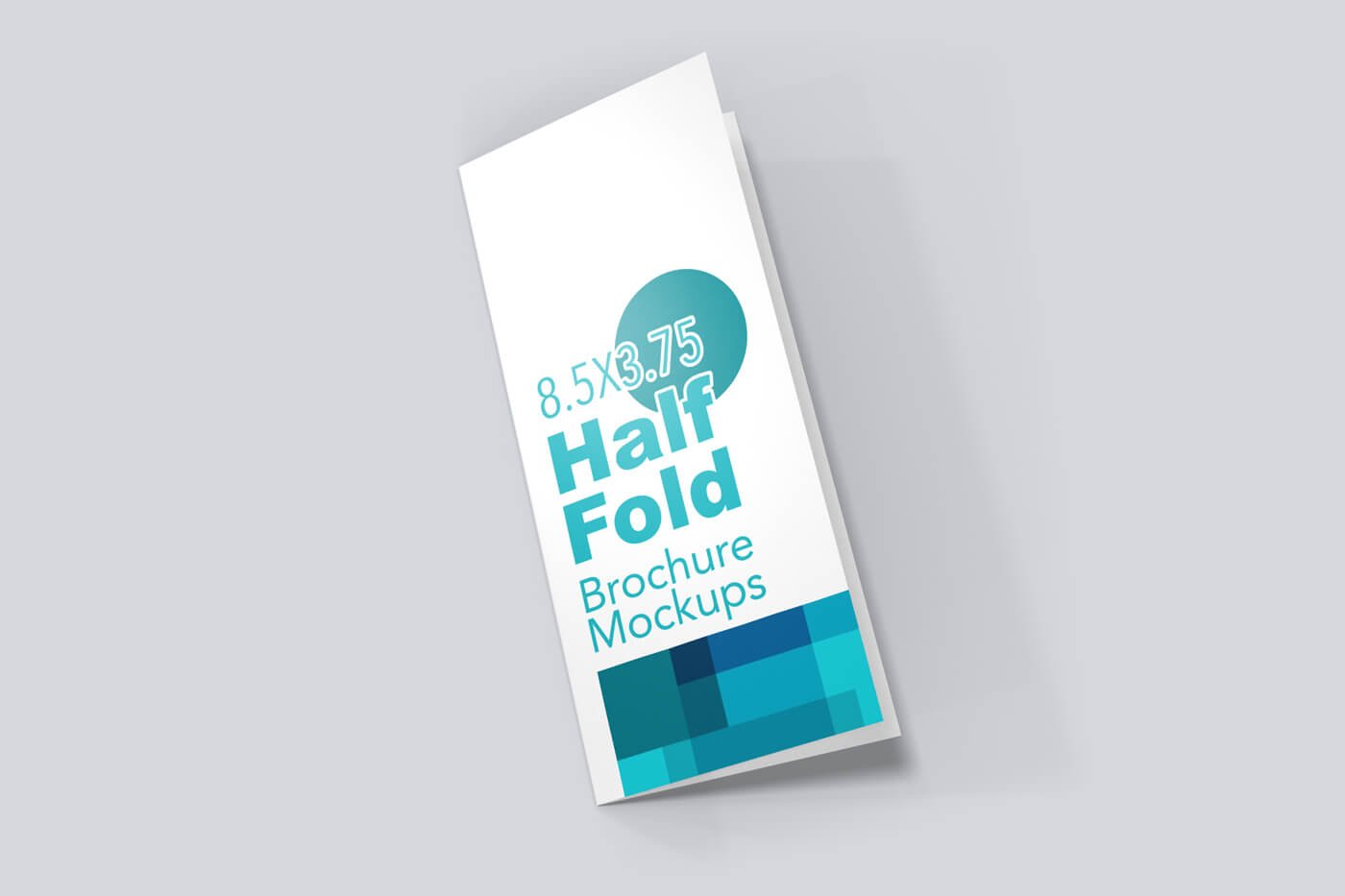 8.5x5.5-Half-Fold-Vertical-Brochure-Mockup-01