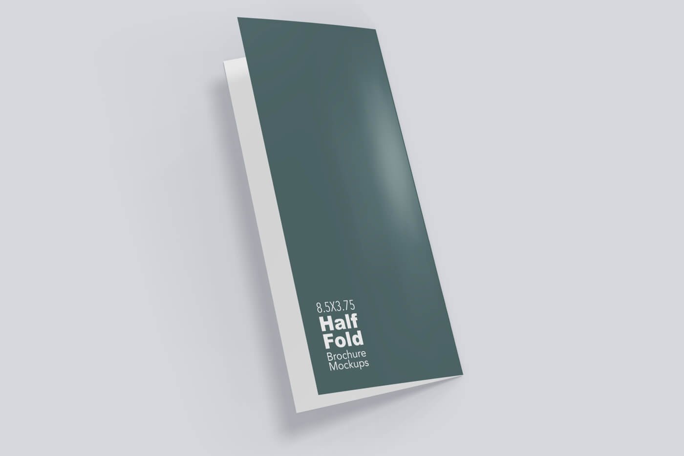 8.5x5.5-Half-Fold-Vertical-Brochure-Mockup-04