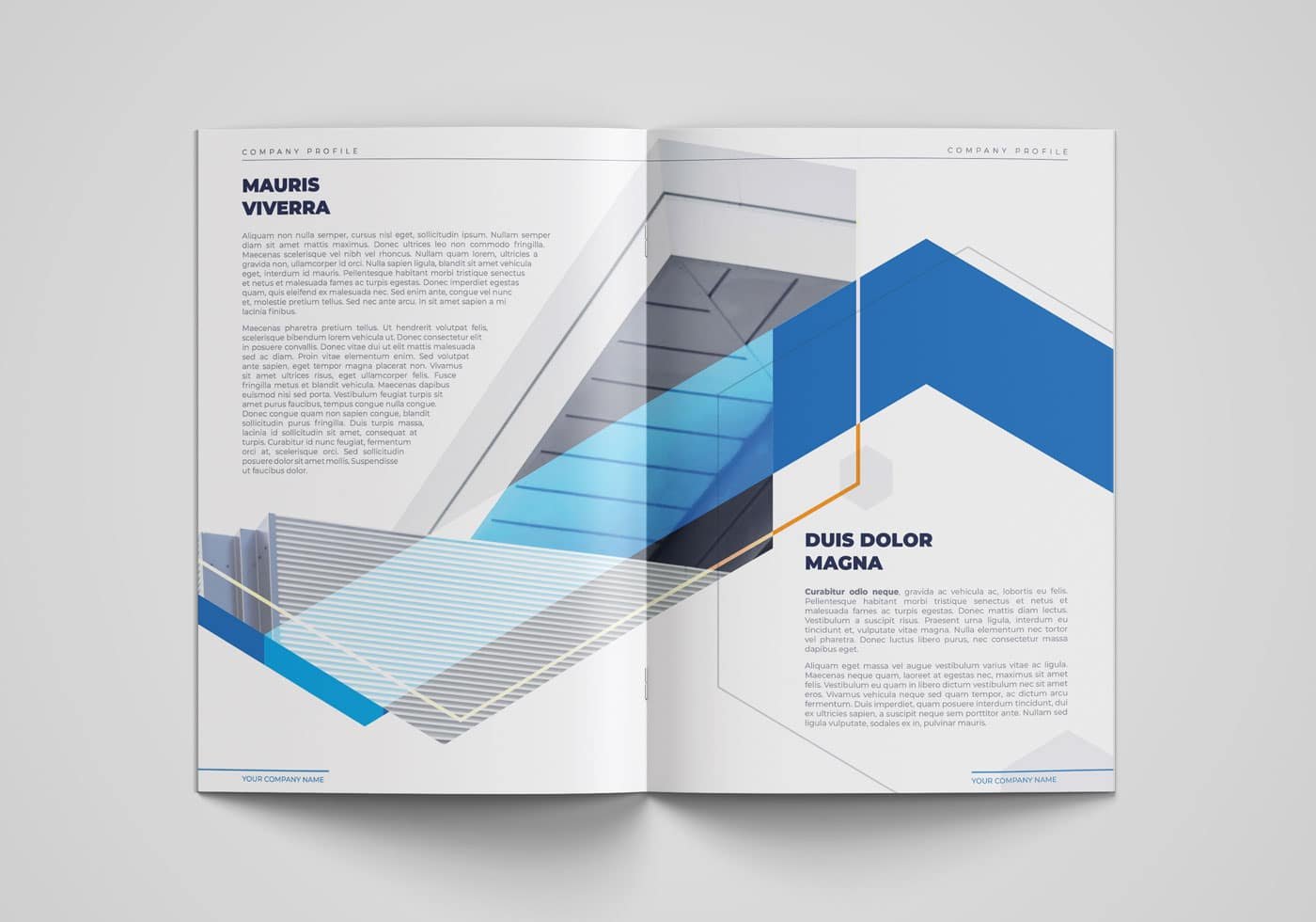 Architect Company Profile Booklet Template