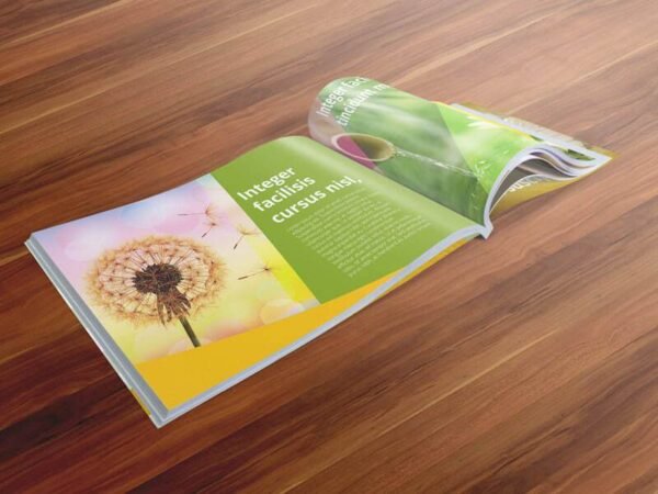 Booklet Mockups - A5/A4 Size