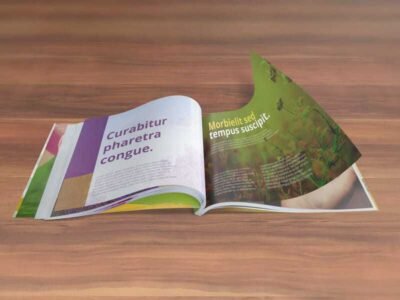 Booklet Mockups - A5/A4 Size