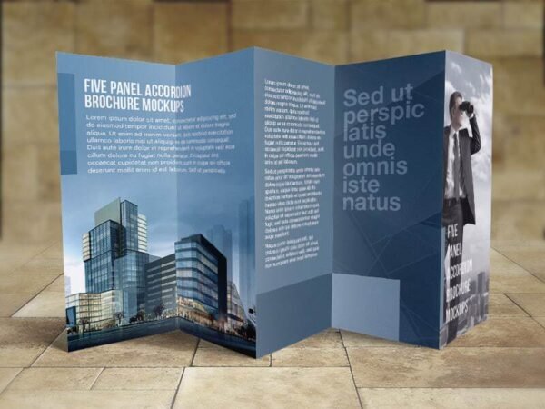 8.5x14 Five panel accordion brochure mockups