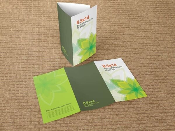 Trifold Brochure Mockups 8.5x14 size