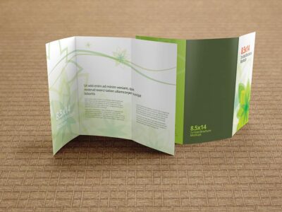 Trifold Brochure Mockups 8.5x14 size