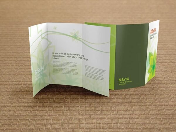 Trifold Brochure Mockups 8.5x14 size