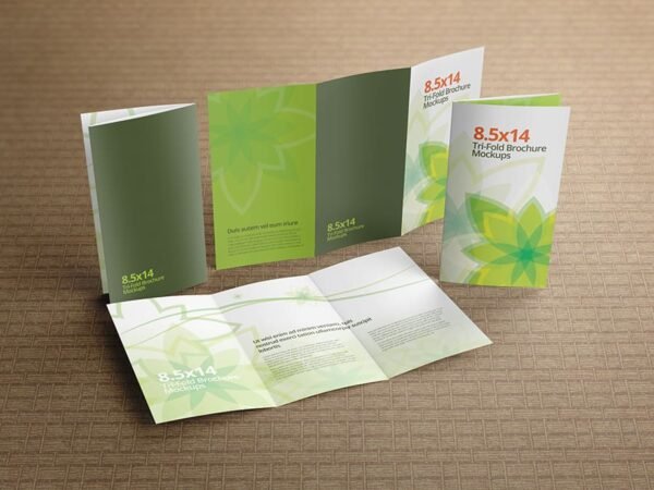 Trifold Brochure Mockups 8.5x14 size